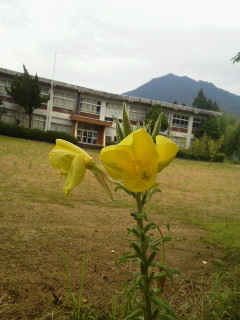 c0272200_1223476.jpg