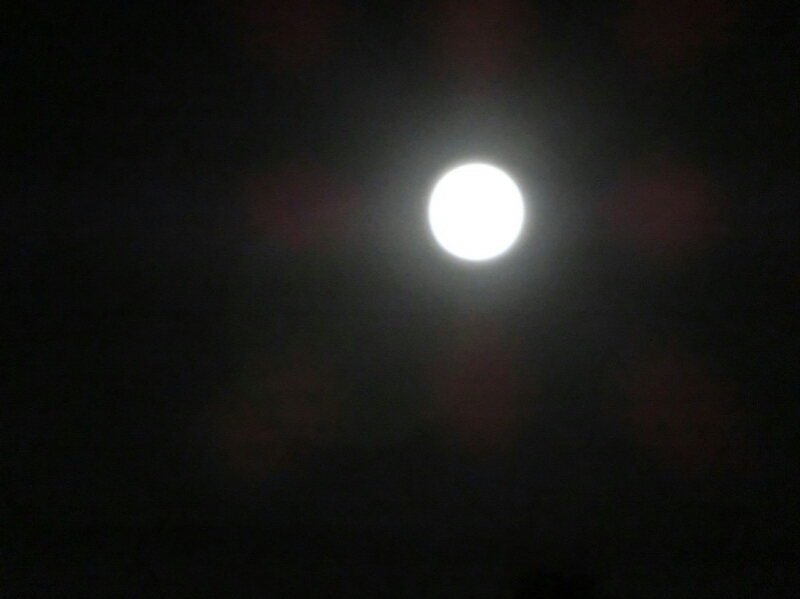 c0110906_10105189.jpg