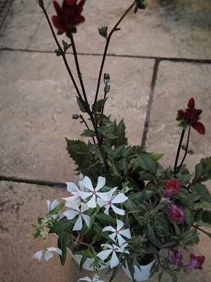 c0167112_2123930.jpg