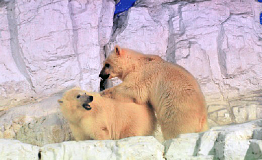 a0151913_2011177.jpg