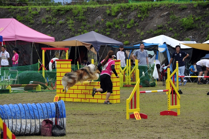 d0179113_1314251.jpg
