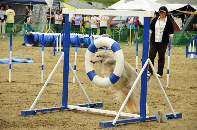d0179113_1332975.jpg