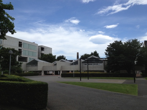 e0049318_6204193.jpg