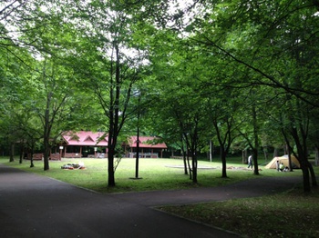 b0121019_2033149.jpg