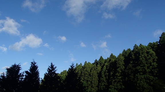 f0031420_7184738.jpg