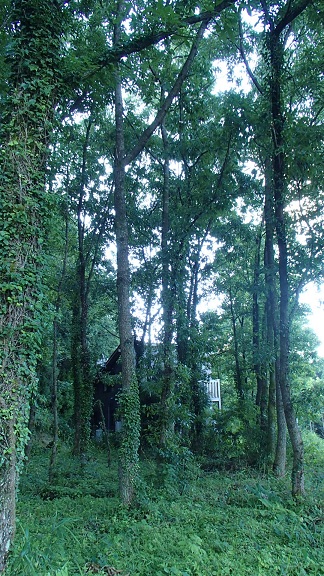 f0031420_7214159.jpg