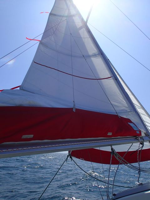 f0100920_016923.jpg