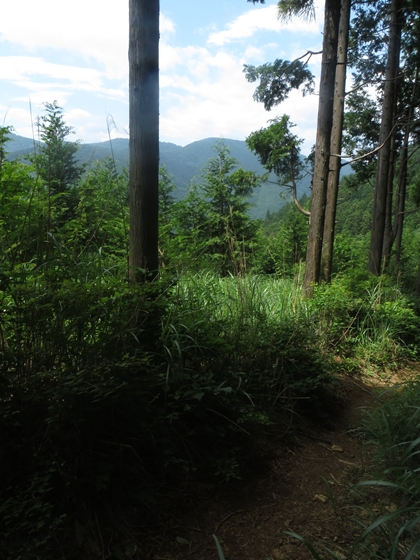 f0040525_20285760.jpg
