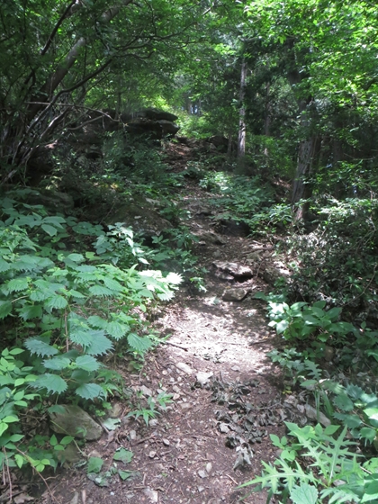 f0040525_20293288.jpg
