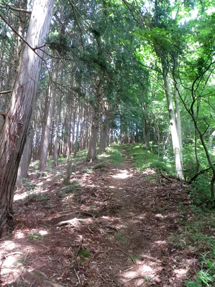 f0040525_202939100.jpg
