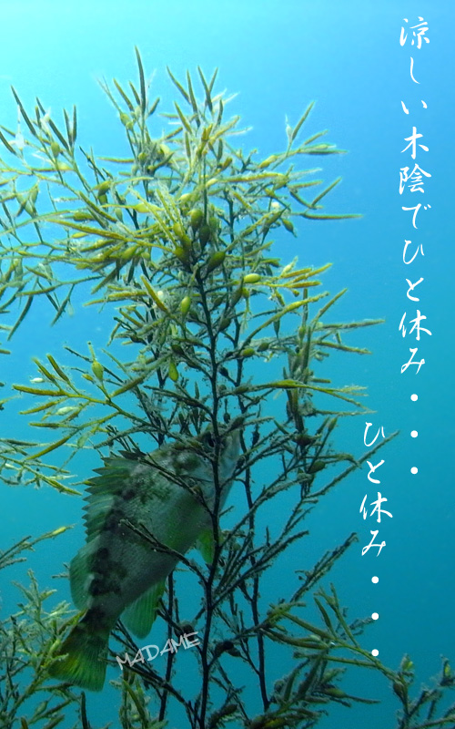 b0044726_23232499.jpg