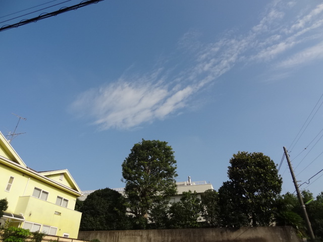 e0016828_1145491.jpg