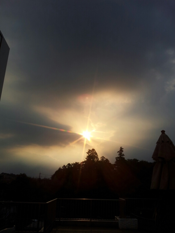 a0146431_187550.jpg