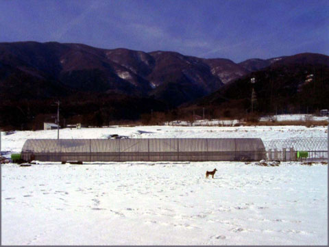 b0143231_20275376.jpg