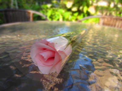 f0002833_1828645.jpg