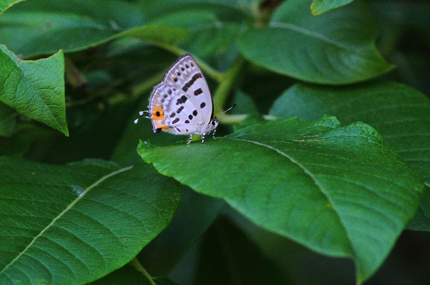 d0069235_20412572.jpg
