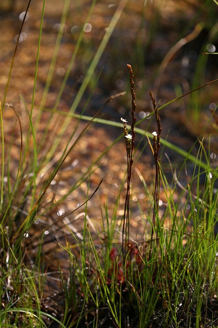 a0242438_19294661.jpg