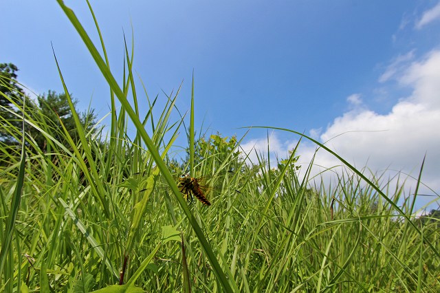 a0242438_19295260.jpg