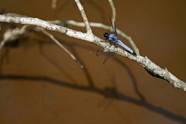 a0242438_19304710.jpg