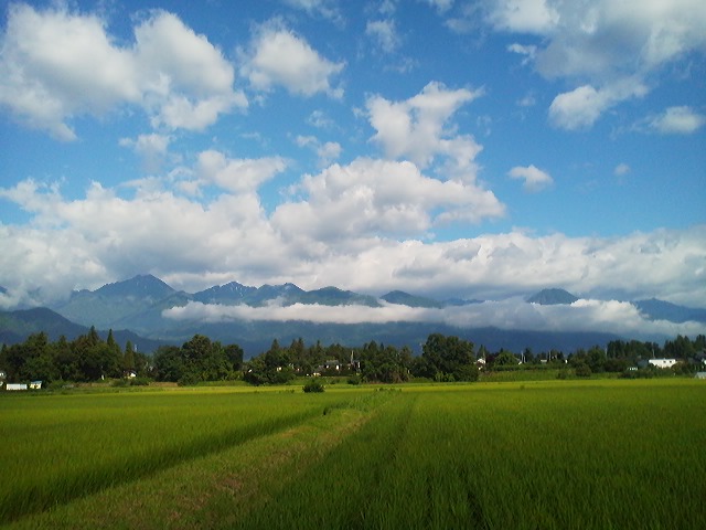 a0272241_16263370.jpg