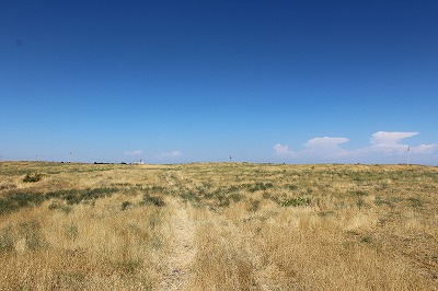 d0195041_4531726.jpg
