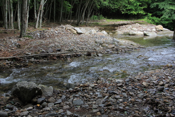 d0132743_10433399.jpg