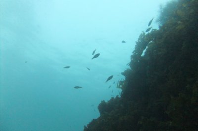 d0142944_23115246.jpg