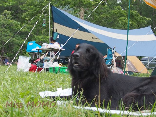a0105346_2344396.jpg