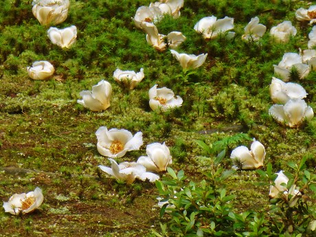 c0057946_2273968.jpg