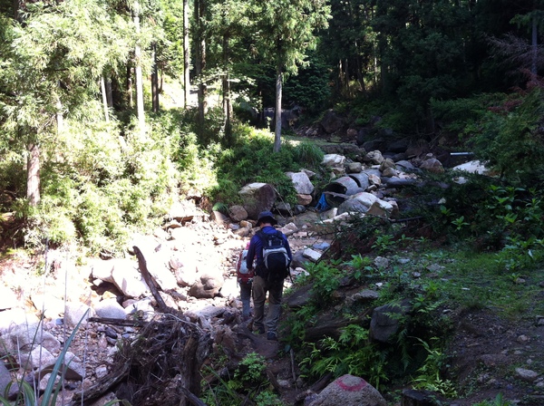 c0042847_16215559.jpg