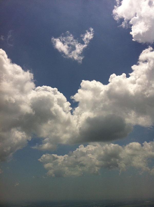 c0042847_1632177.jpg