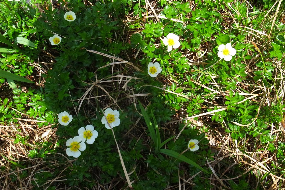 e0009147_15583371.jpg