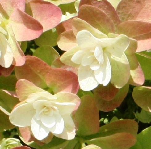 b0289649_1582522.jpg