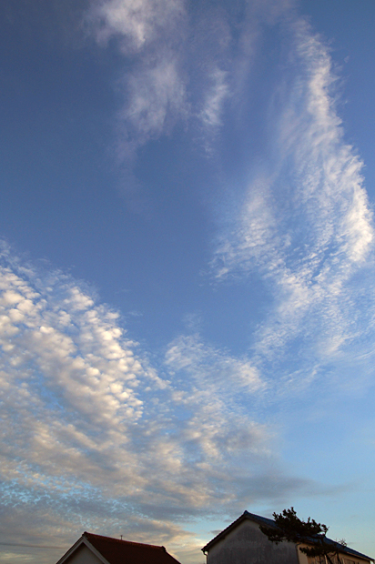f0214649_1130530.jpg