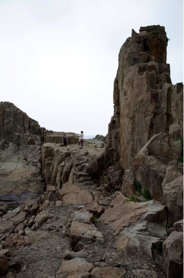 e0203652_22324320.jpg