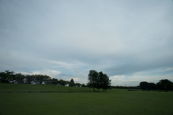e0122855_21323548.jpg