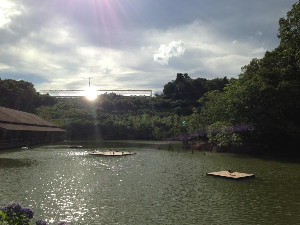 b0002156_9191864.jpg