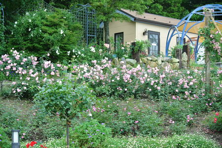 f0233356_18515749.jpg