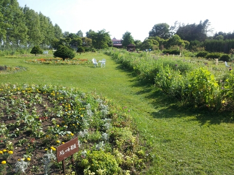 e0088260_21255723.jpg