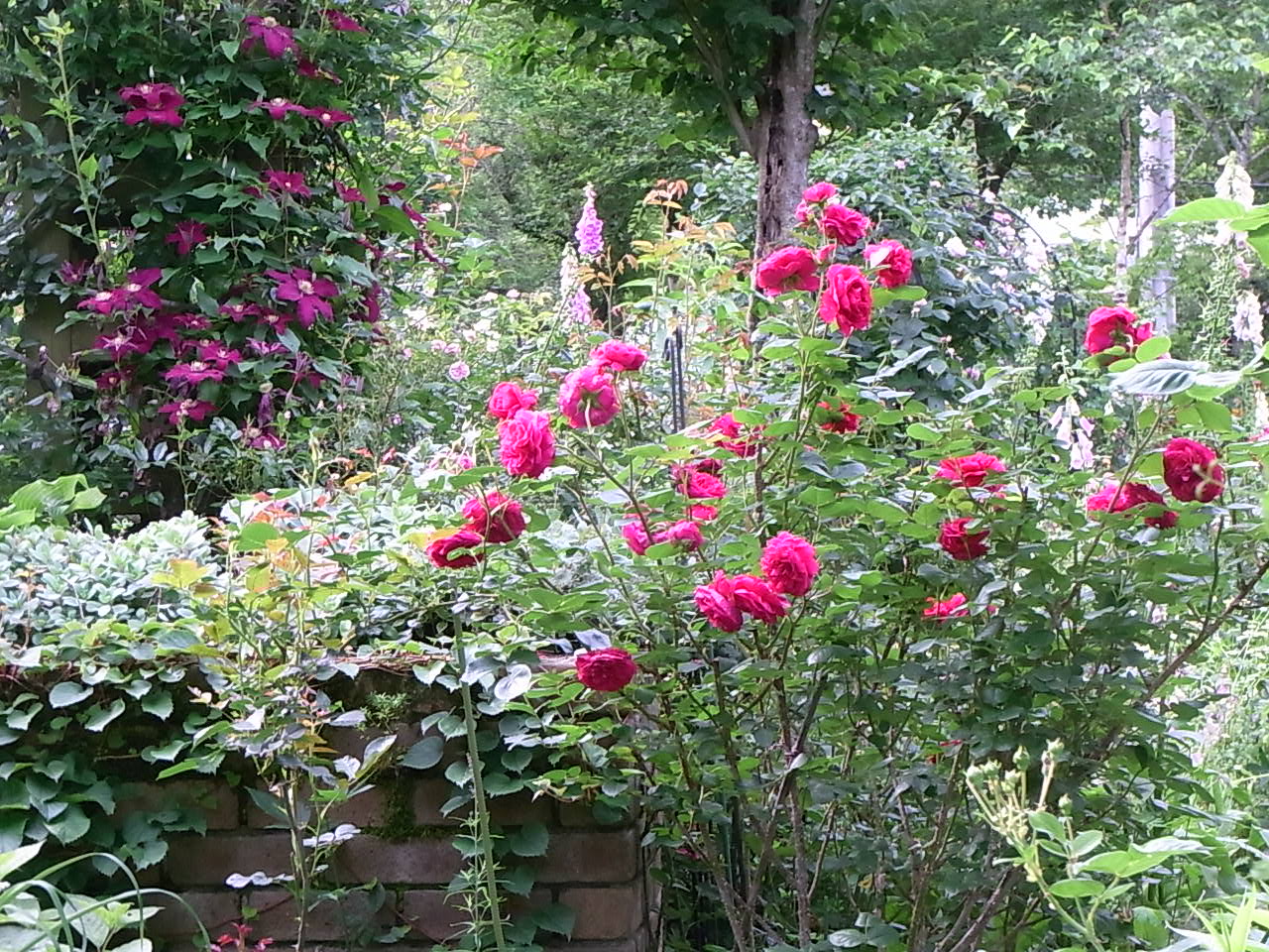 e0017562_3384919.jpg