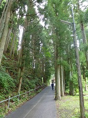 e0160568_1631816.jpg