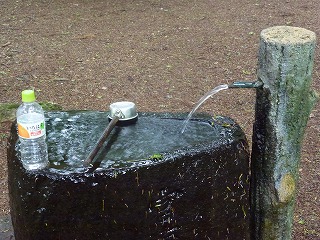 e0160568_1651721.jpg