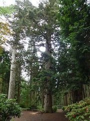 e0160568_1655987.jpg