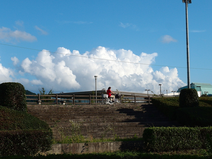 a0260570_1335023.jpg