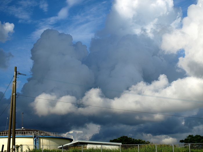 a0260570_13363990.jpg