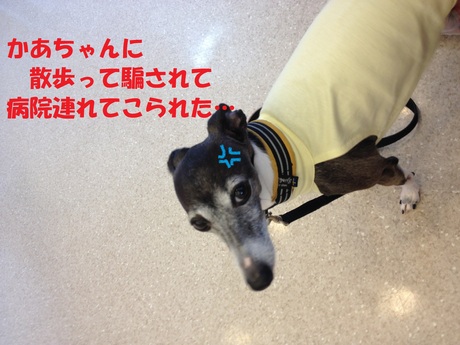 f0223972_8594953.jpg