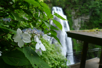 f0182173_1501779.jpg