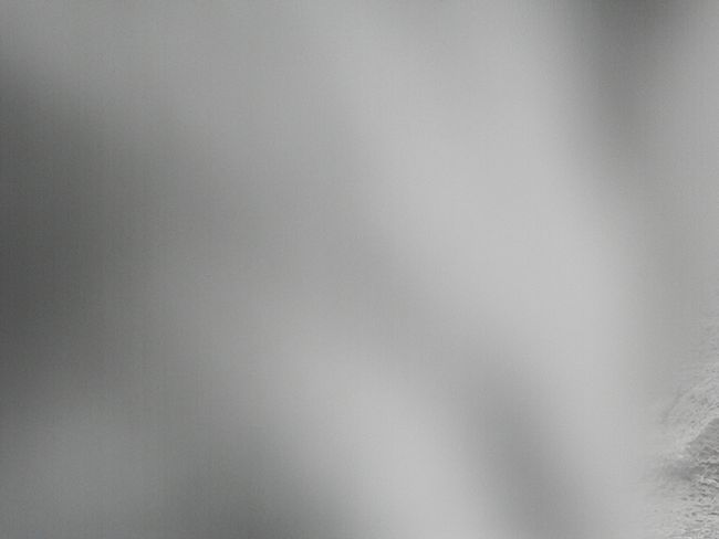 b0014576_421476.jpg