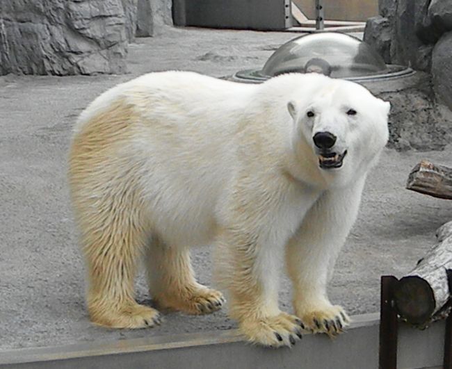 b0014576_5315298.jpg