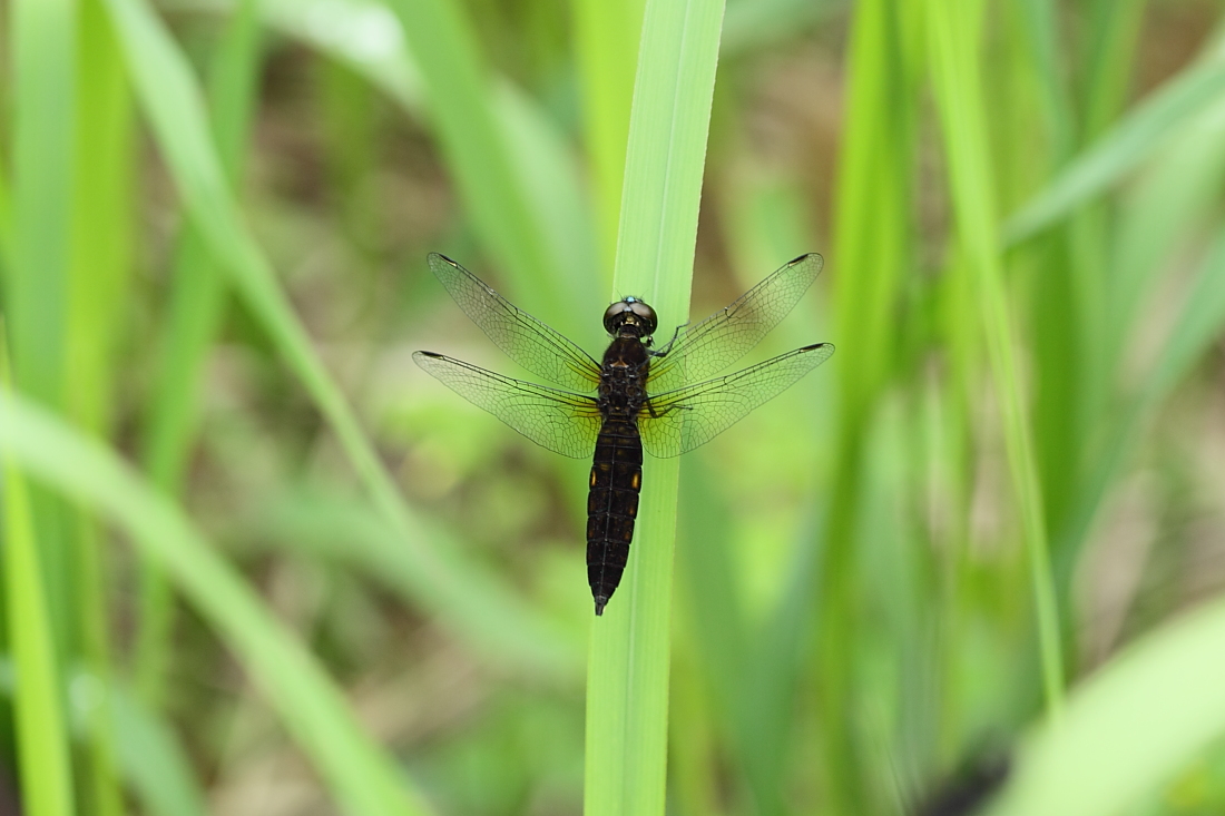 e0249878_2294715.jpg